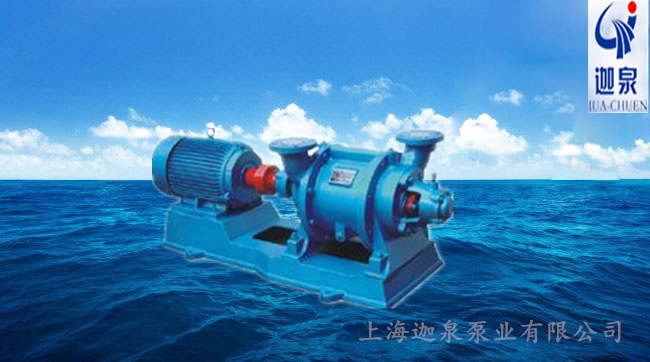 水環(huán)式真空泵