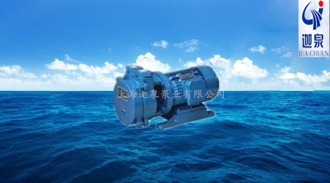 直聯(lián)水環(huán)式真空泵