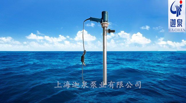 不銹鋼電動抽液泵