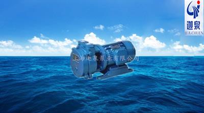 直聯(lián)水環(huán)式真空泵
