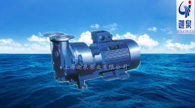 水環(huán)式真空泵