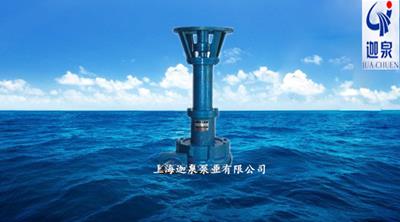 雜質(zhì)污水渦流泵