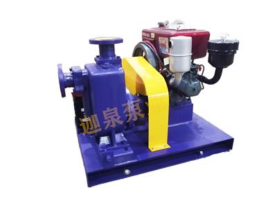 小型單缸柴油機(jī)泵組